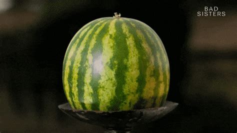 Wettmelon